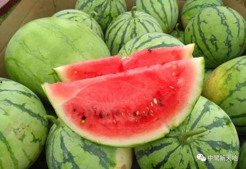 颜韵吃瓜,揭秘娱乐圈幕后故事