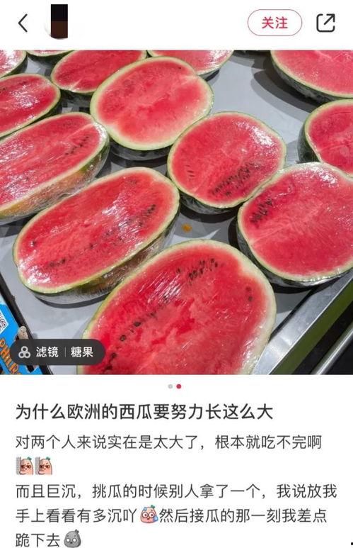 国外吃瓜网站,揭秘国外吃瓜网站上的热门话题