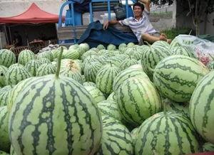 吃瓜群众惊恐发生,惊悚事件背后真相揭秘