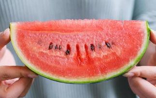 吃瓜请种,一场别开生面的田园生活体验