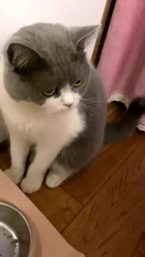 寄人篱下吃瓜,笑谈邻里瓜事