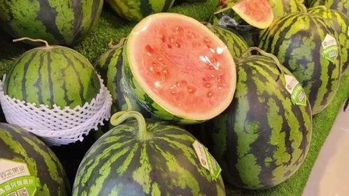 每日在线吃瓜,紧跟热点，畅享网络盛宴