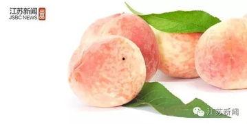 荔枝app在哪里吃瓜,揭秘热门“吃瓜”地点，畅享娱乐新体验