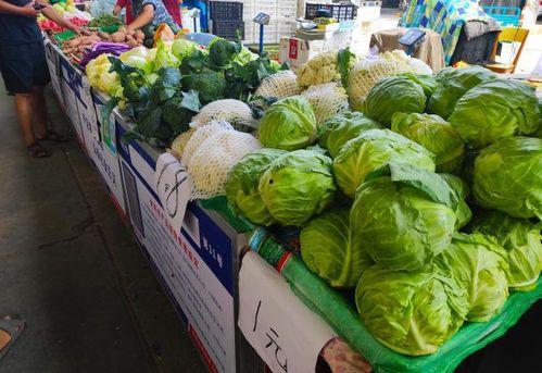 大妈玉米地吃瓜,意外发现隐藏的田园乐趣