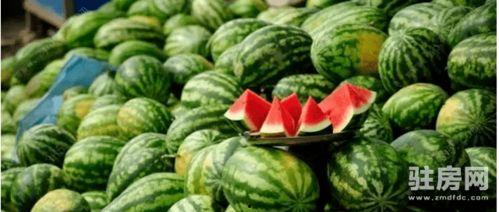 东阳木雕小镇吃瓜,探寻古韵食趣，品味瓜香四溢的非遗之旅