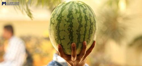 吃瓜各种事件,吃瓜群众视角下的娱乐圈风云录