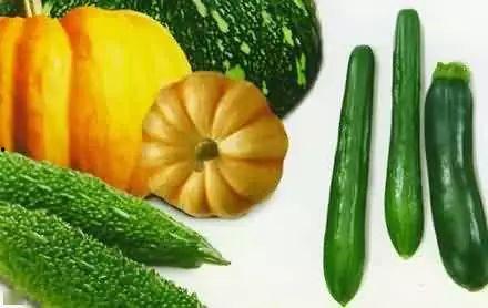 吃瓜神圣,网络热词背后的文化现象