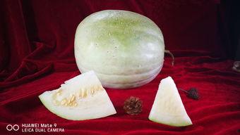 白瓜开裂可以吃吗,能否安心食用揭秘