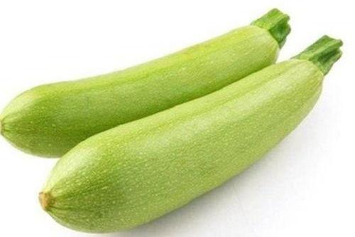 减肥可以吃生瓜么,健康饮食的绿色革命