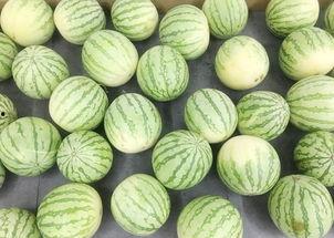 安静的夜里吃瓜