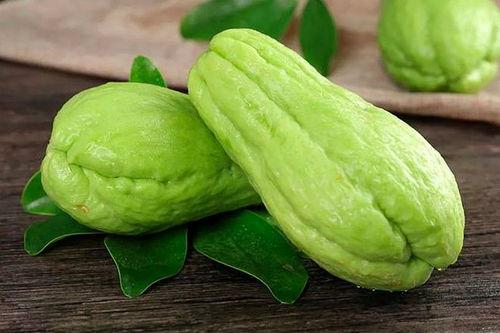 吃佛手瓜伤脾胃