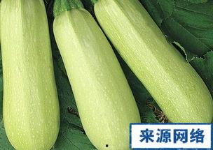 孕期可以吃白瓜