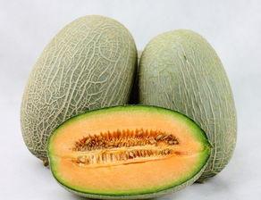 哈密瓜需不需要放软再吃,需软食还是硬食，口感与营养的抉择