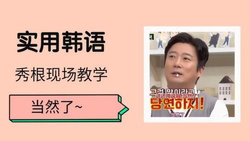 韩语live吃瓜现场,直播“吃瓜”盛况揭秘