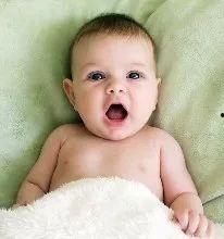 产妇吃胶瓜,胶瓜的营养功效与食用指南