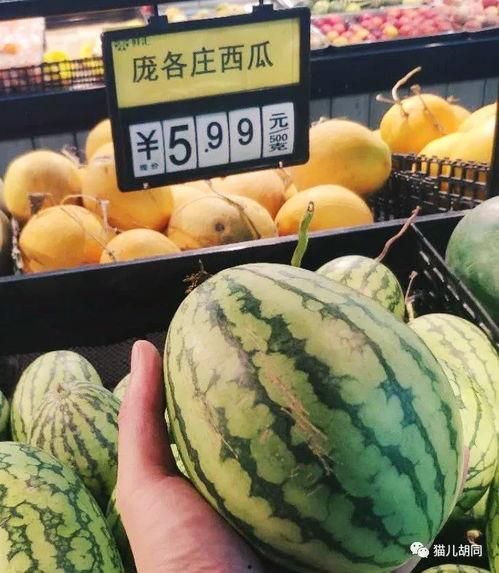 jinger 吃瓜,娱乐圈背后的那些事儿