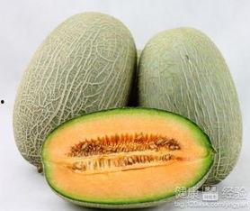 吃哈密瓜可以吃洋葱吗