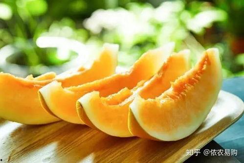 小蜜瓜怎么吃,解锁夏日清新美味