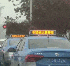 麻雀子吃瓜gif,萌态十足！