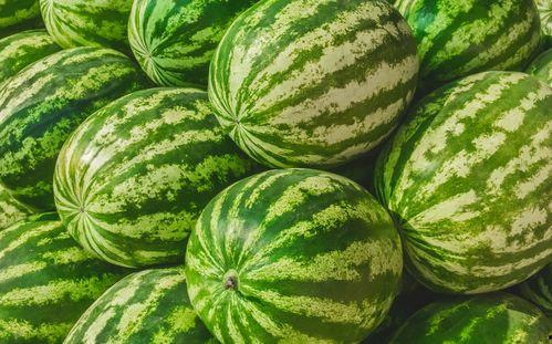 哪里有免费吃瓜,让你畅享夏日清凉