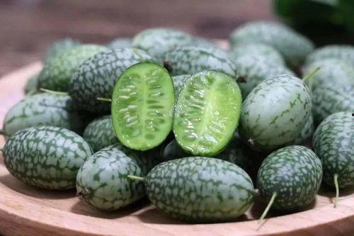 吃瓜长智慧,从瓜中汲取生活智慧