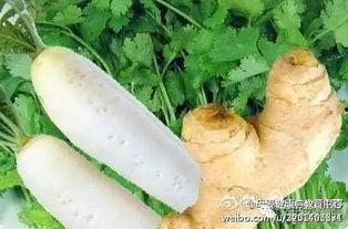 发烧输液可以吃哈密瓜吗