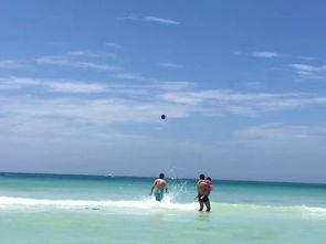 长滩吃瓜人,一场吃瓜人生的欢乐盛宴